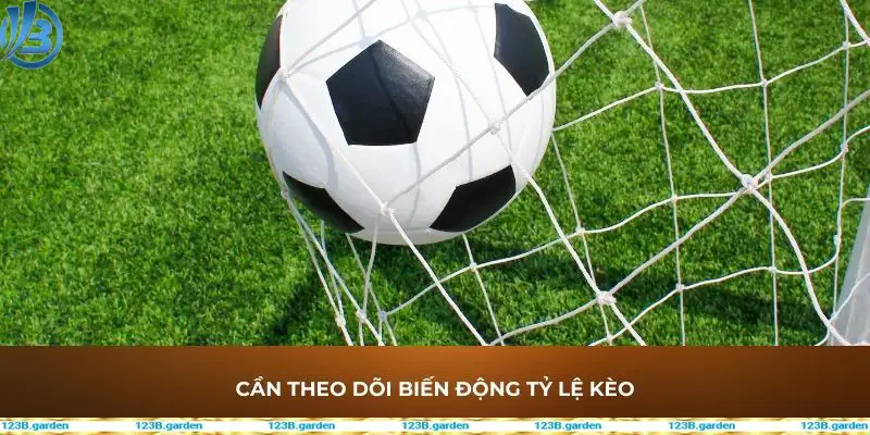 Cần theo dõi biến động tỷ lệ kèo