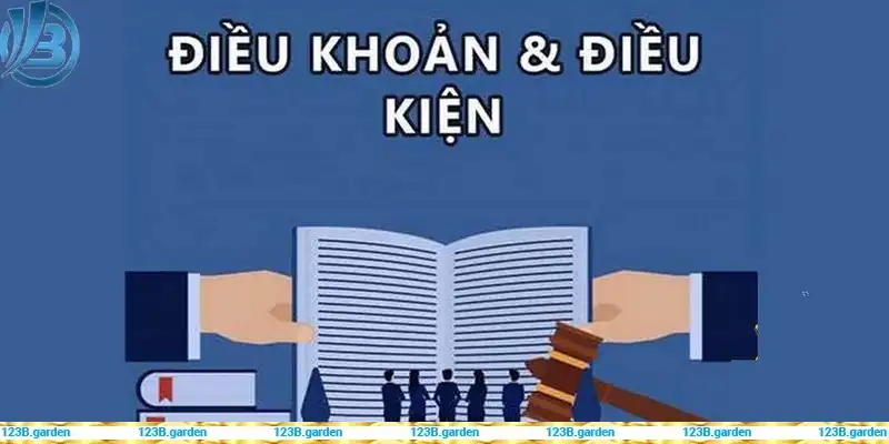 Một số quyền của nhà cái 123B đối với người chơi