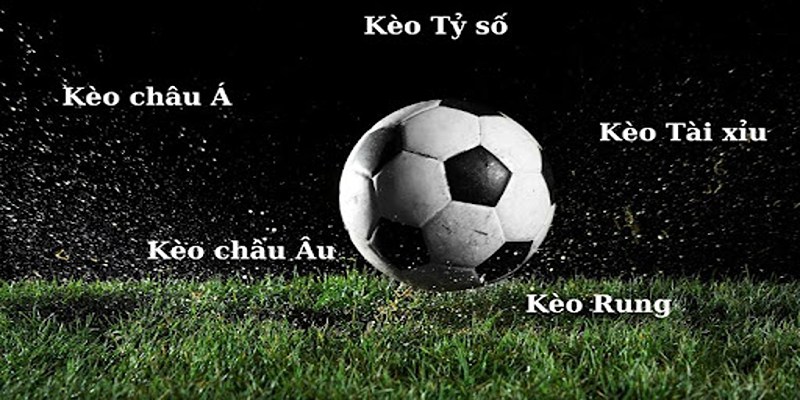 Kèo cược thể thao KM88 phong phú